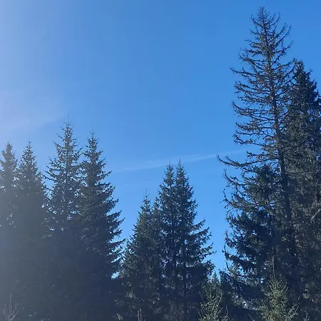 Planinska Kuca Mali Raj * Jahorina