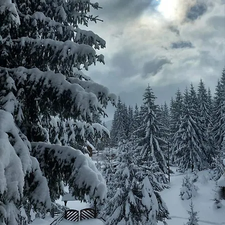 Planinska Kuca Mali Raj Holiday home Jahorina